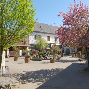 innenhof_06_1500width_komp